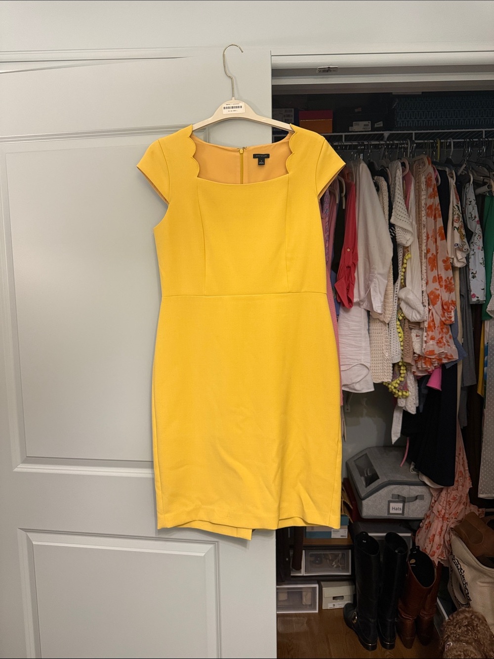 Ann Taylor Scallop Cap-Sleeve Yellow Sheath Dress